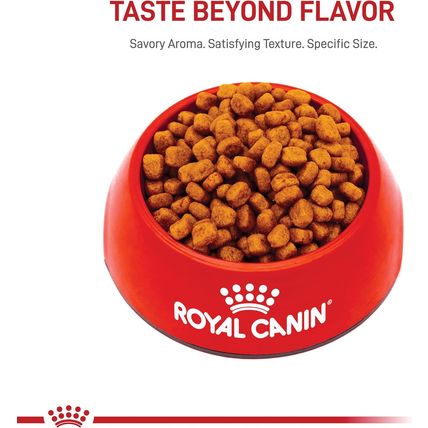 Royal Canin Yorkshire Terrier Adult Dry Dog Food, 10 Lb Bag