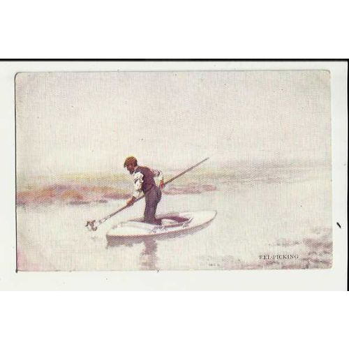 Norfolk EEL PICKING Art Postcard