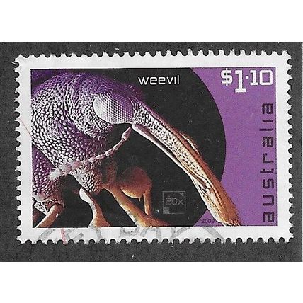 AUS 2009 $1.10 'MICRO MONSTERS- WEEVIL' FINE USED (EBID66-720)