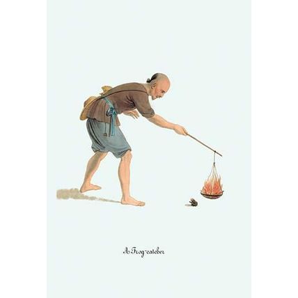 A Frog-Catcher 20 x 30 Poster