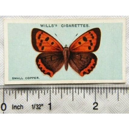 1927 Wills British Butterflies No. 19 Small Copper