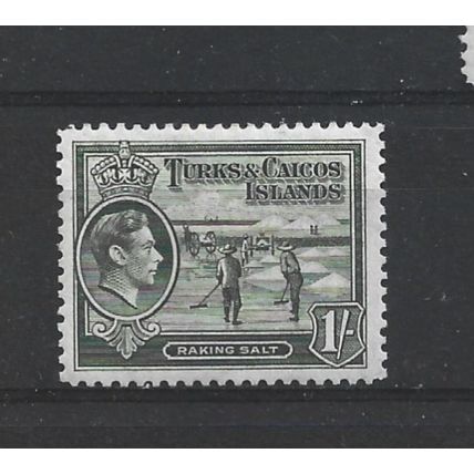 Turks&Caicos.SG202a 1s Raking Salt (Grey-Olive).Mounted Mint.Aug24b