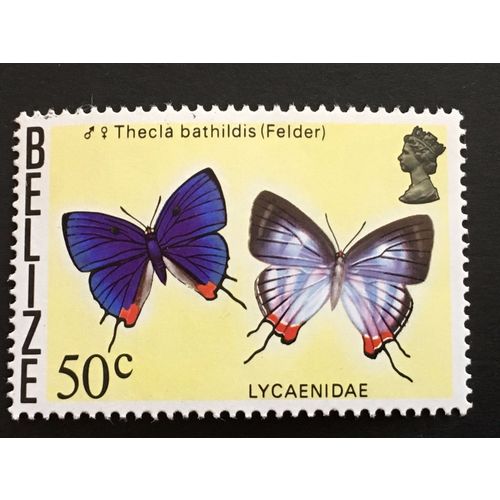 Belize 1974 50c Lycaenidae Unmounted Mint NHM SG 391 Sc 356 stamp butterfly