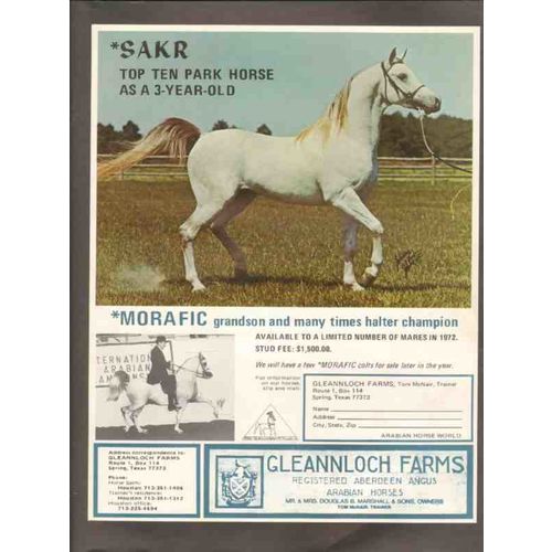 gleannloch farms 1972 sakr morafic arabian stud horse vintage ad