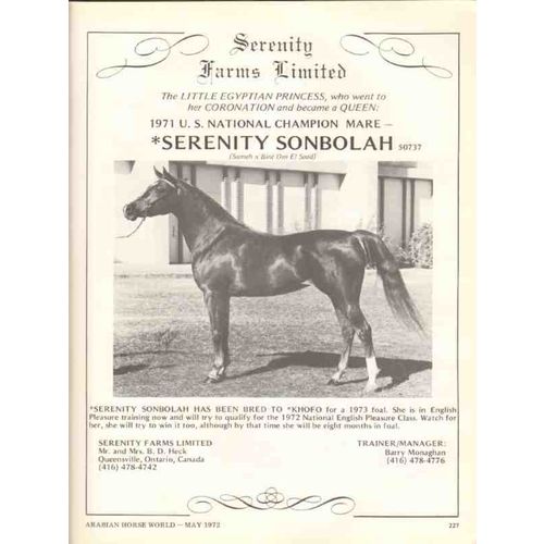 serenity farms limited 1972 sonbolah sabra luftia horse vintage ad