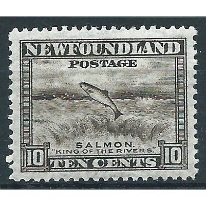 Newfoundland 1932 SG215 10c Black-Brown Mounted Mint .. ..