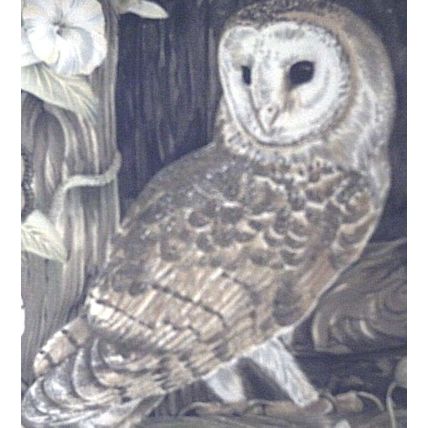 Beautiful Barn owl in barn window cushion ( very rare) pillow