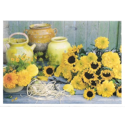 POTS AND FLOWERS.. French used postcard 2005 postmark =