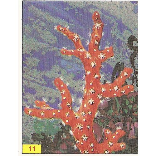 Panini's Dinosaurs Sticker Collection - Sticker No. 11
