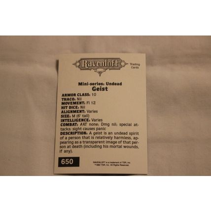 Geist 1992 TSR 2nd Edition Dungeons & Dragons NO.650