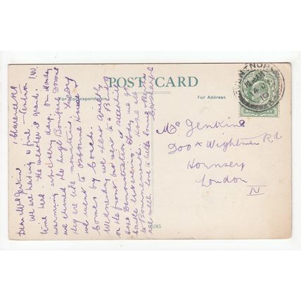 Steephill Cove Ventnor Isle of Wight 1910 Postcard