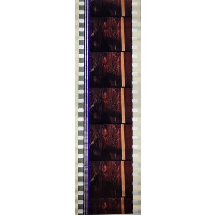 VAMPIRES. Pk MTP - b040n . 1 STRIP OF 5 - 35MM FILM CELLS. MTP