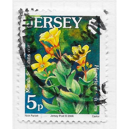 JERSEY 2006 FLOWERS WILD MARSH ST JOHNS WORT 5p USED