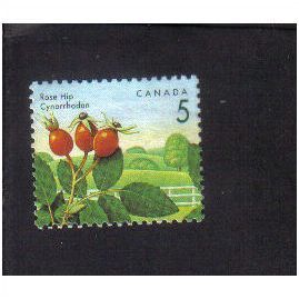1991 canada rose hip 5c f/u sg1463