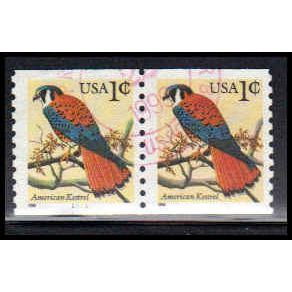 Used 3044v 1c American Kestrel Very Fine CNP Left 1111 BCYM Type I SD PA1862