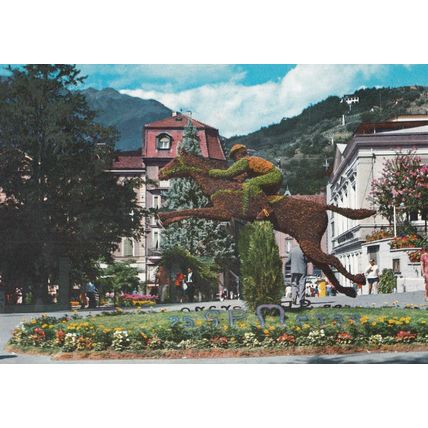 Merano Italy Horse Racing Monument 1960s Postcard