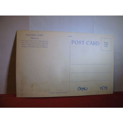 A BULLOCK CART, MALACCA, MALAYSIA unused standard sized postcard dated 1973 =