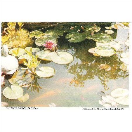 Saltdean, East Sussex nr Brighton - The Water Garden 1970s postcard