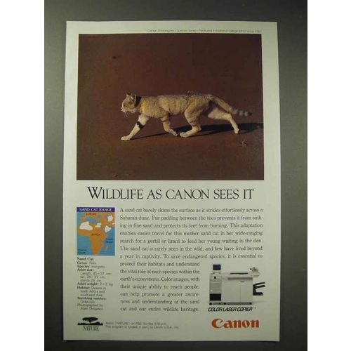 1993 Canon Color Laser Copier Ad - Sand Cat