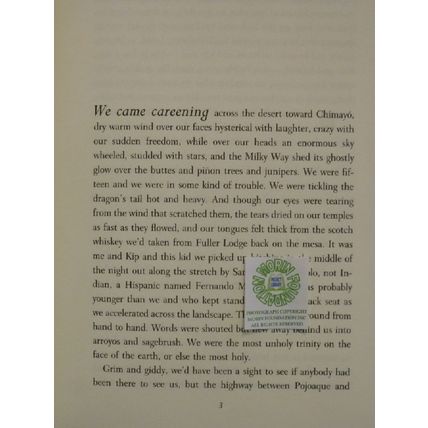SIGNED FIRST 1st EDITION TRINITY FIELDS a novel by BRADFORD MORROW HCDJ
