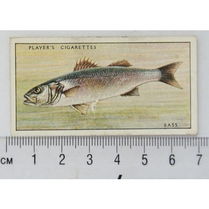 1933 Players Fresh-water Fishes, pink back No. 2 Bass or Sea-Perch