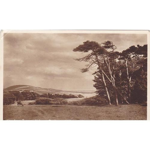 View From Tennysons Lane Freshwater Isle Of Wight Postcard (IOW71652)