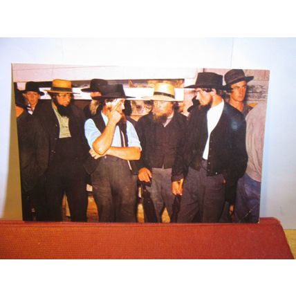 AMISH FARMERS, DUTCH COUNTRY, NEW HOLLAND, PENNSYLVANIA, USA unused postcard #