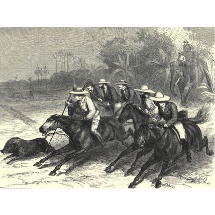 LATE LORD MAYO HOG HUNTING 1872 Horace Harral VICTORIAN ENGRAVING