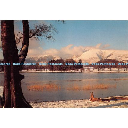 D100741 Keswick. Skiddaw across Derwent Water. Wright Pictures. Tom Wright