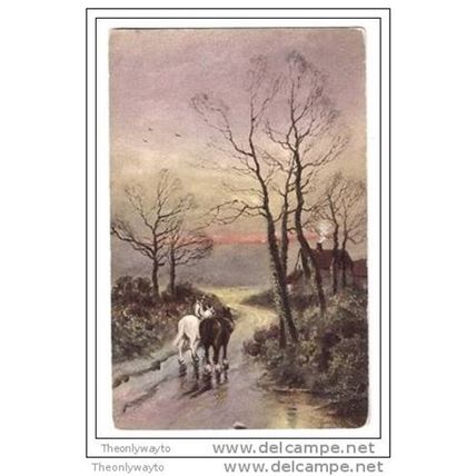 2 HORSES ON A COUNTRY ROAD...., Postcard