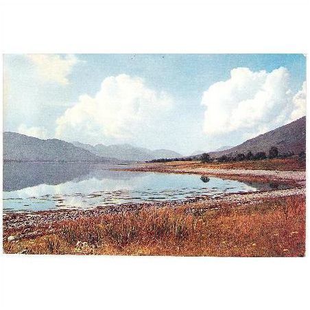Loch Eil, Invernesshire, Lochaber, Highland - Dixon postcard 1960s