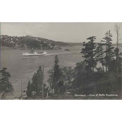 Turkey Real Photo Postcard RP MINT Stamboul Midle Bosphorus c.1920