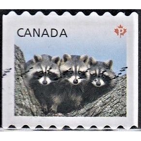 CANADA, 2012 'P' Juvenile Wildlife coil, SG 2705 (Scott #2506), used