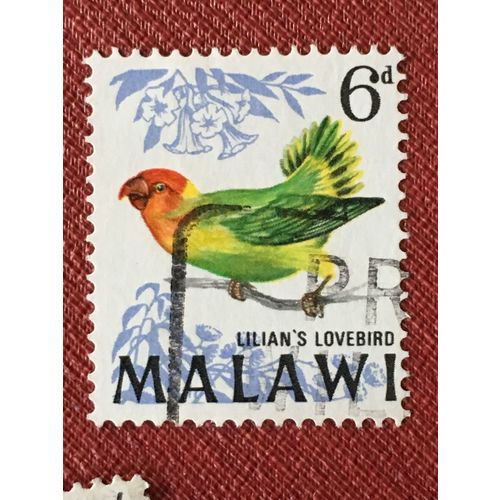 Malawi QEII 1968 Birds 6d Nyasa Lovebird Used 2 SG 314 Sc 99 postage stamp