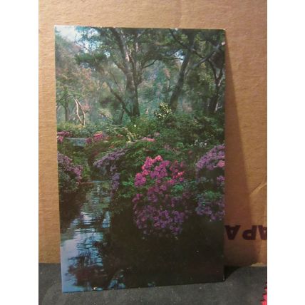 DESCANSO GARDENS, LACANADA, CALIFORNIA, USA unused postcard =