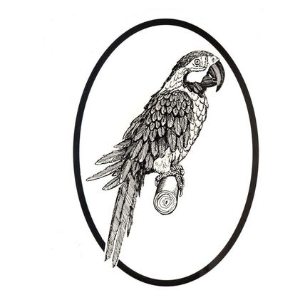 Oval Vinyl Car Decal Black & White Sticker - Macaw