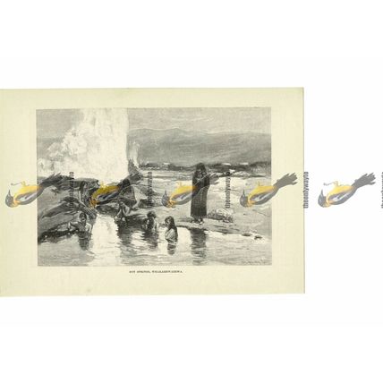 Hot Springs, Whakarewarewa, New Zealand, Book Illustration (Print), 1891