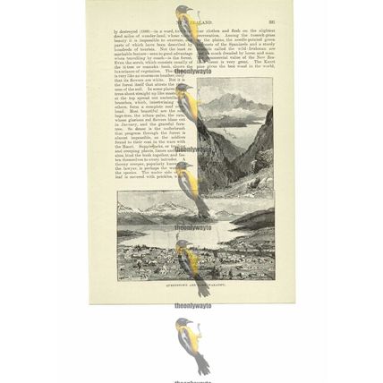 Queenstown & Lake Wakatipu, New Zealand, Book Illustration (Print), 1891