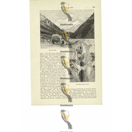 Mount Cook & Glacier, New Zealand, Book Illustration (Print), 1891
