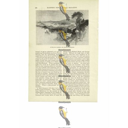 Auckland Harbour & Mount Rangitoto, New Zealand, Book Illustration (Print), 1891