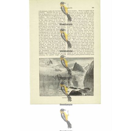 Milford Sound, New Zealand, Book Illustration (Print), 1891