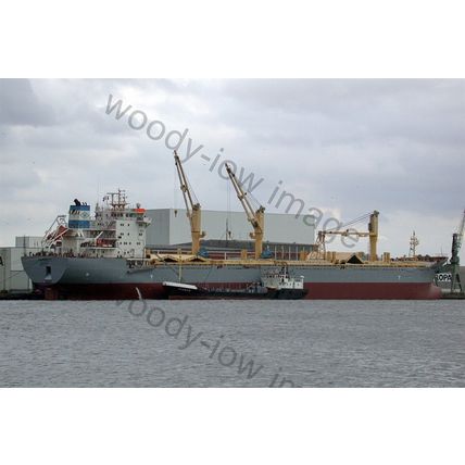 SQ1611 - Cargo Ship - Harriett - photograph 6x4