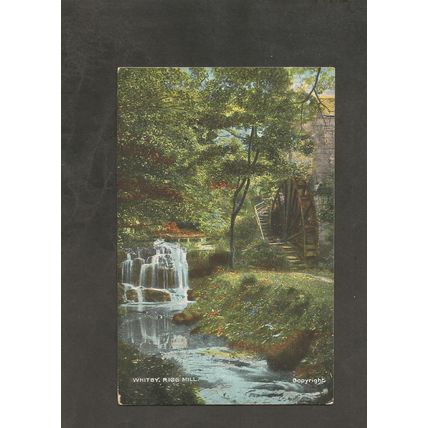 Genealogy Postcard Miss R.E Jones 6 Alfred Parade Alfred Hill Bristol 1908