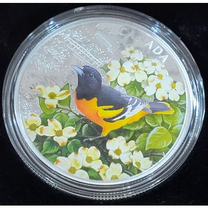 1 Oz Silver Collectible 2025 Royal Mint Baltimore Oriole Mintage Of 7500
