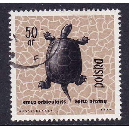 POLAND 1963 REPTILES & AMPHIBIANS 50gr TORTOISE USED / CTO SG1382