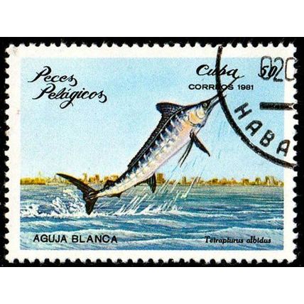 Cuba 1981 Fish 50c Used Stamp Marlin