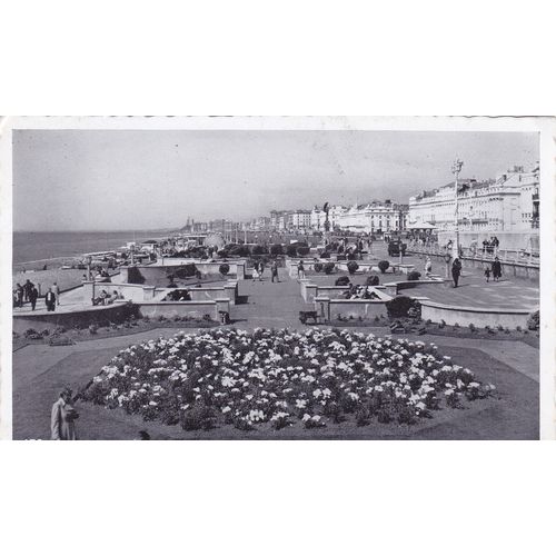 Sunken Gardens Brighton Sussex Postcard (SX75998)
