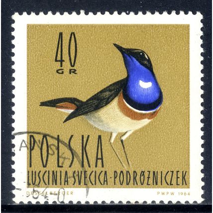 POLAND 1964, Water Birds - White-spotted Bluethroat (Luscinia sveci…), 40 G, CTO