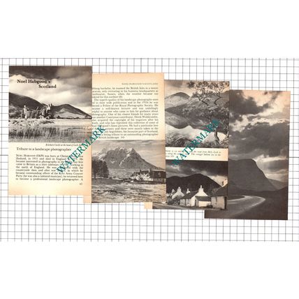 Noel Habgood Christchurch New Zealand Photographer - 1979 Article / Print
