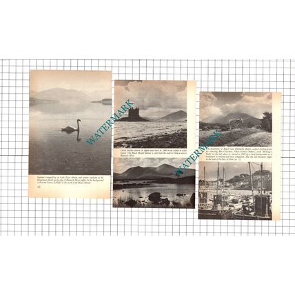 Noel Habgood Christchurch New Zealand Photographer - 1979 Article / Print